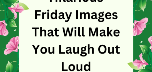 Hilarious Friday Images That Will Make You Laugh Out Loud